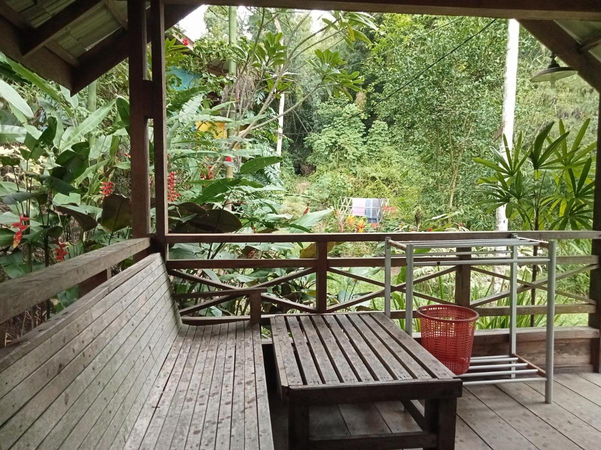 Thousand Hills Ketambe ,Room And Treking Lhokuenam Ngoại thất bức ảnh