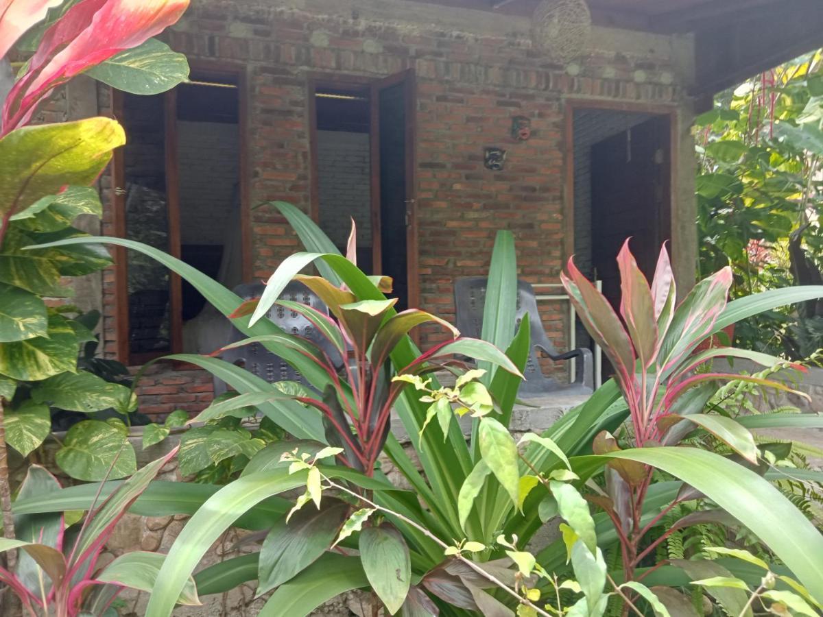 Thousand Hills Ketambe ,Room And Treking Lhokuenam Ngoại thất bức ảnh
