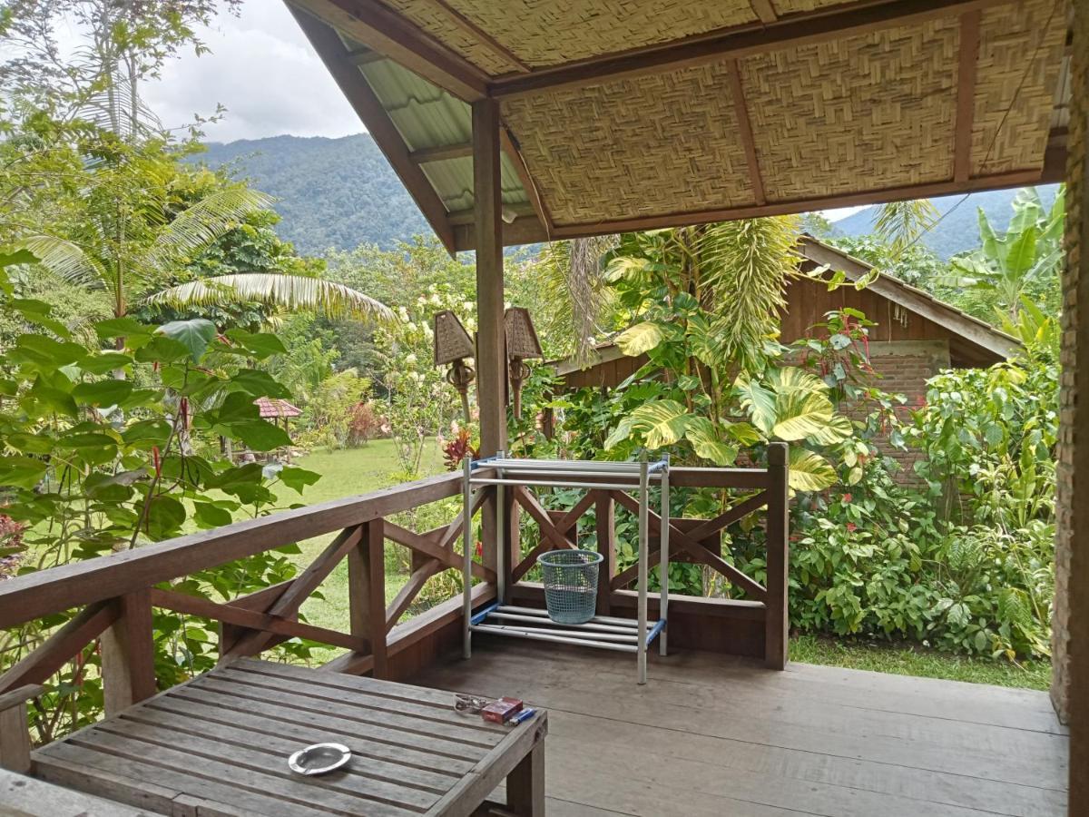 Thousand Hills Ketambe ,Room And Treking Lhokuenam Ngoại thất bức ảnh