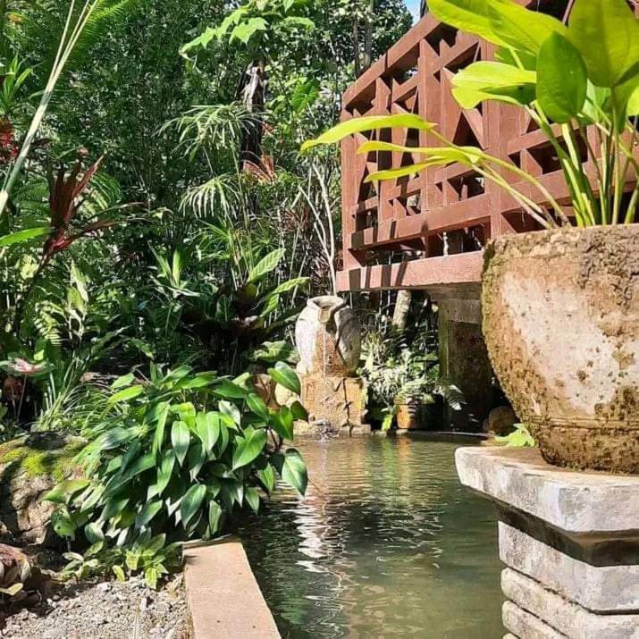 Thousand Hills Ketambe ,Room And Treking Lhokuenam Ngoại thất bức ảnh