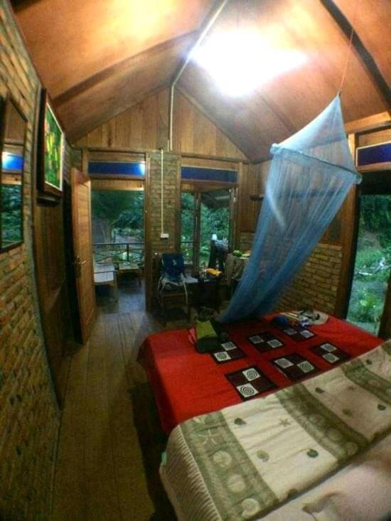 Thousand Hills Ketambe ,Room And Treking Lhokuenam Ngoại thất bức ảnh